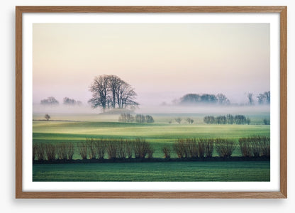 Rolling mist