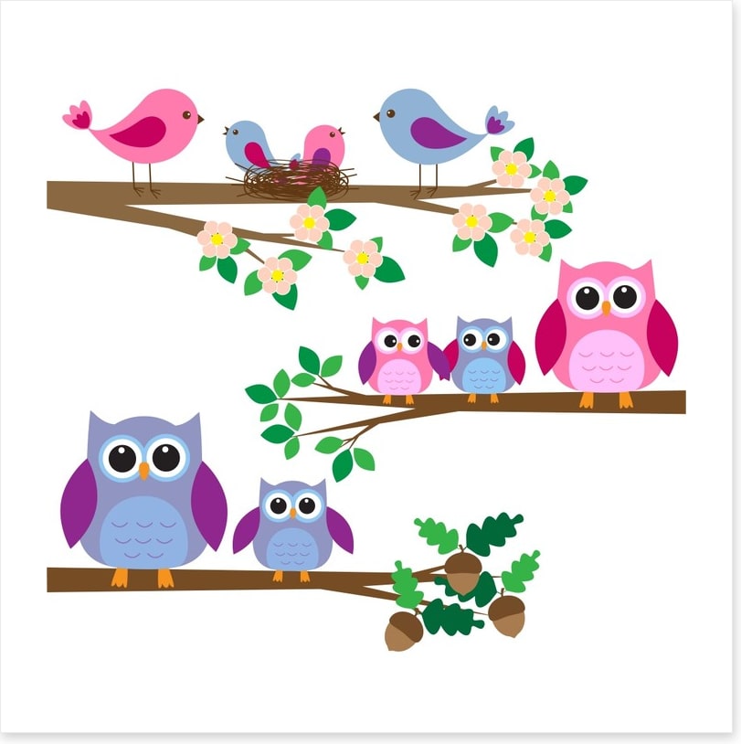 Owls and birds