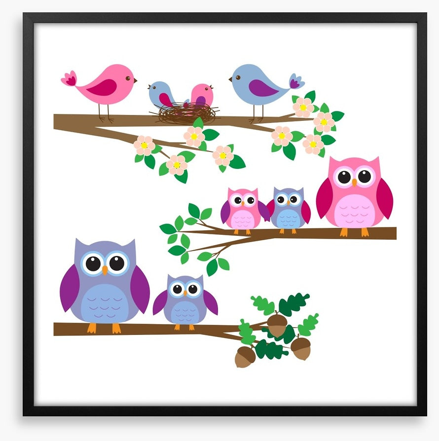 Owls and birds