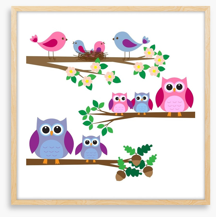 Owls and birds