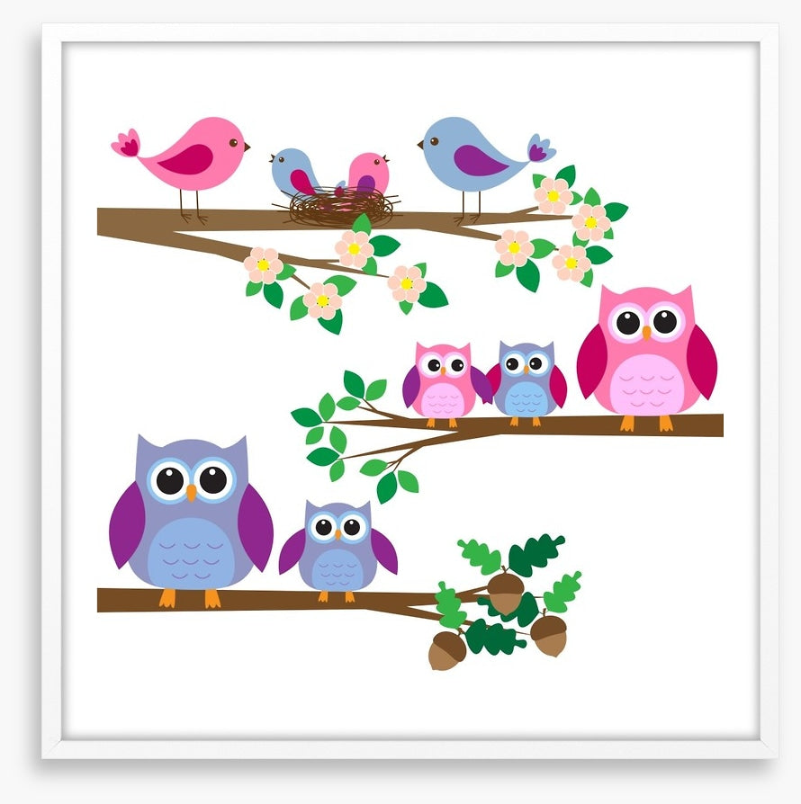 Owls and birds