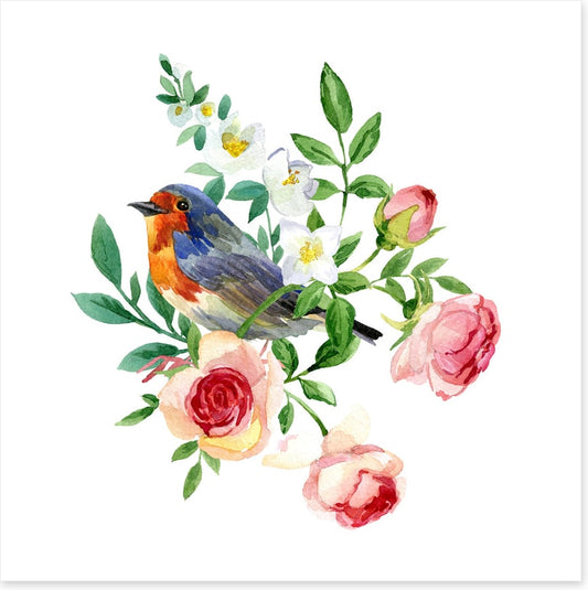 Birds