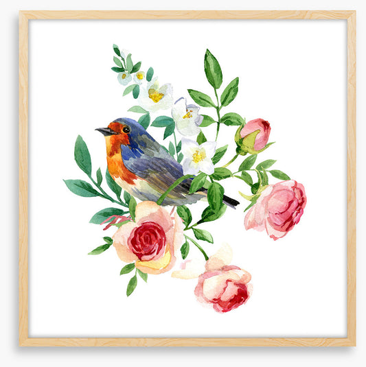 Birds