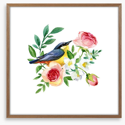 Birds