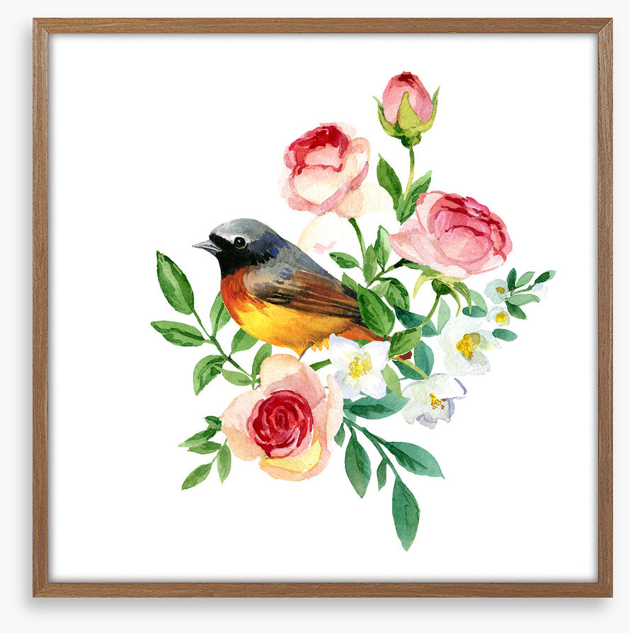 Birds