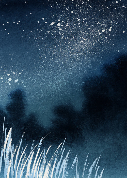 Milky Way shadows