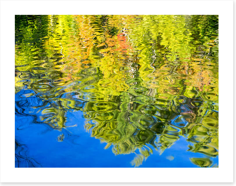 Reflections of fall