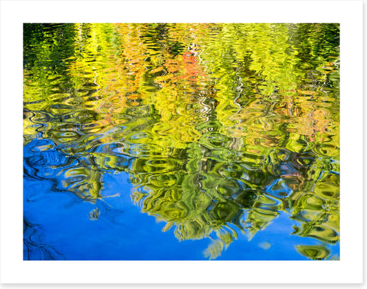 Reflections of fall