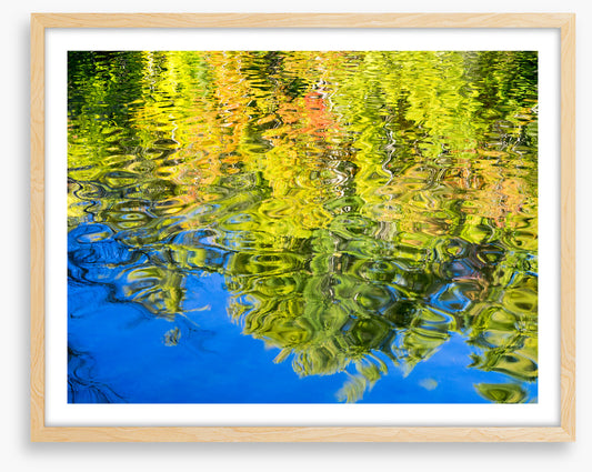 Reflections of fall