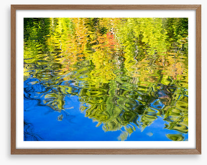 Reflections of fall