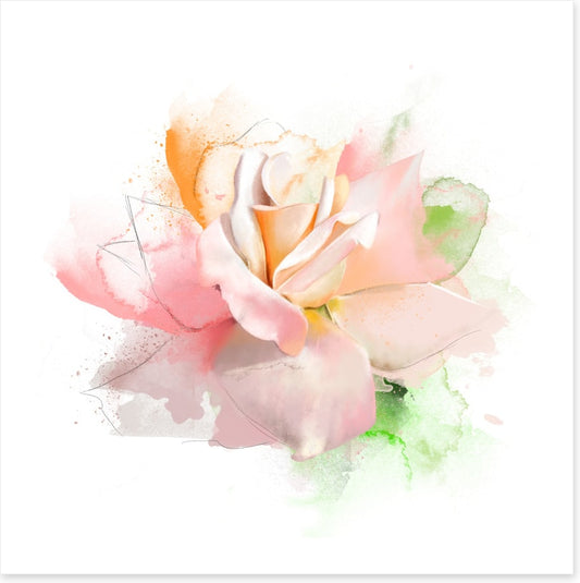 Feeling rosy I