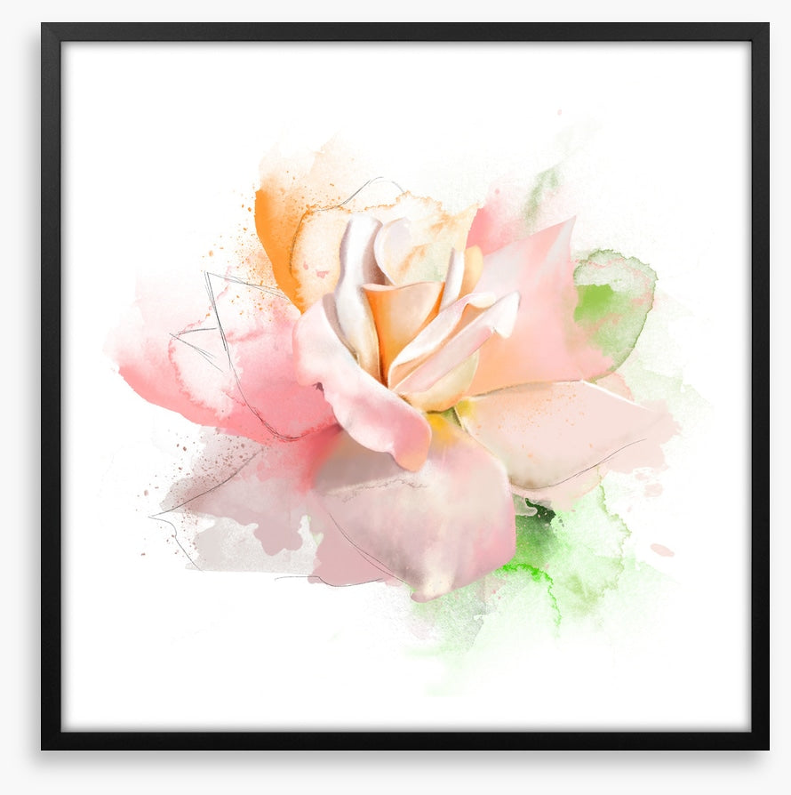 Feeling rosy I