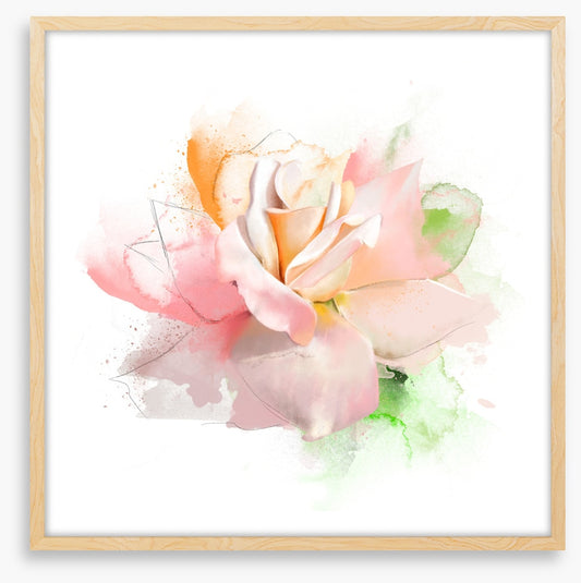 Feeling rosy I