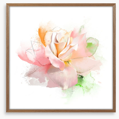 Feeling rosy I