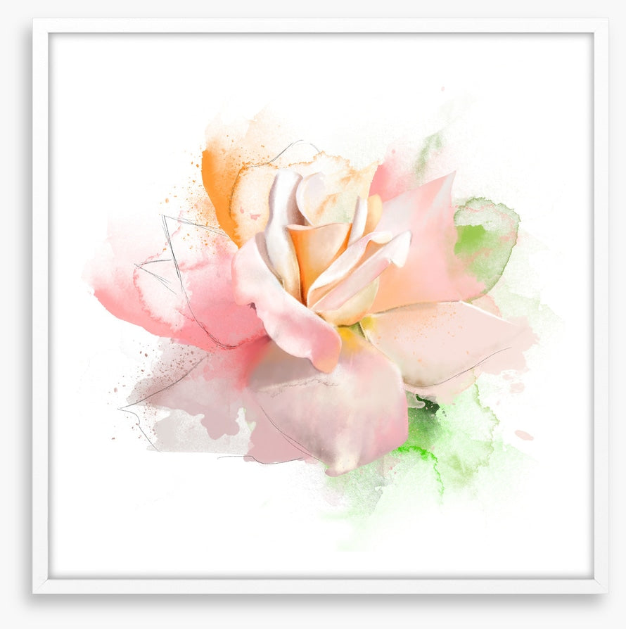 Feeling rosy I