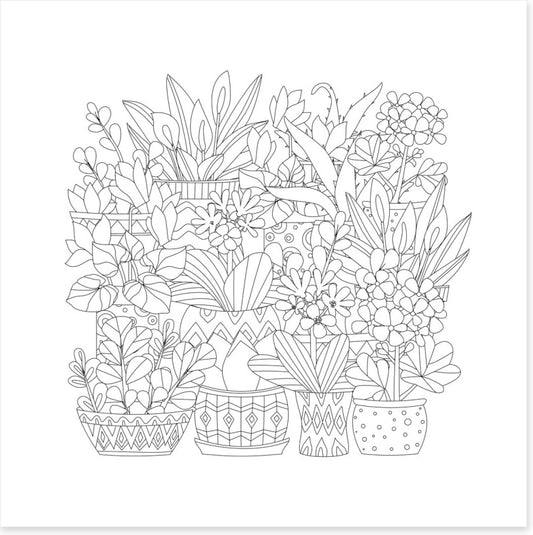 Colour me plant pots