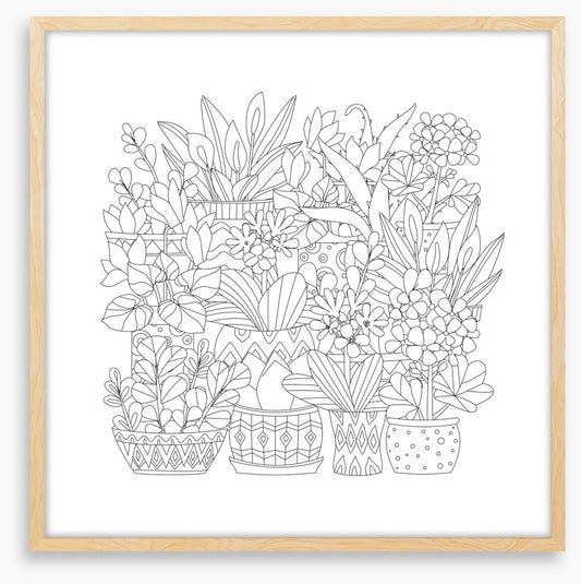 Colour me plant pots