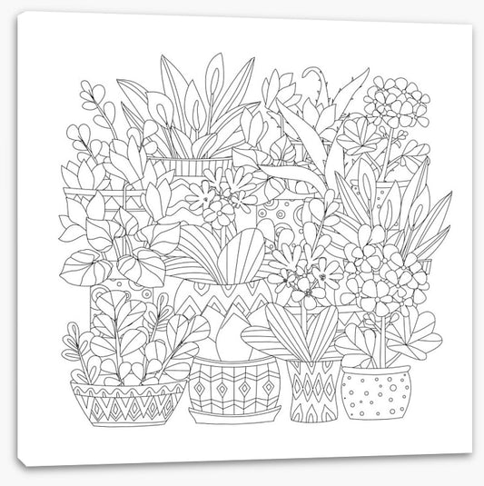 Colour me plant pots