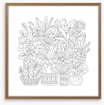 Colour me plant pots