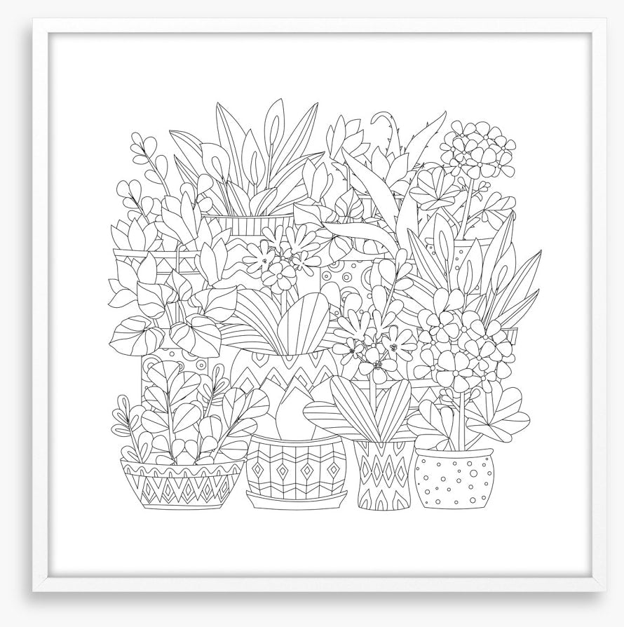 Colour me plant pots