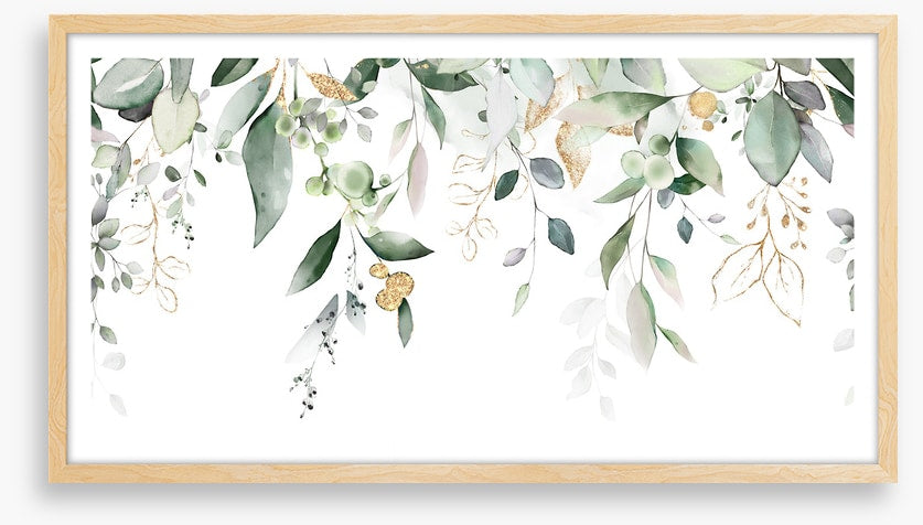 Eucalypt cascade