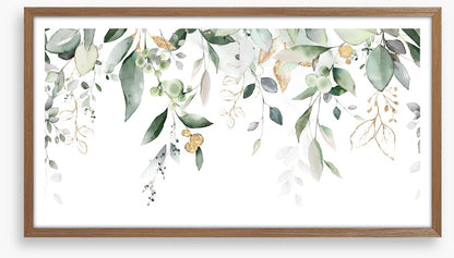 Eucalypt cascade