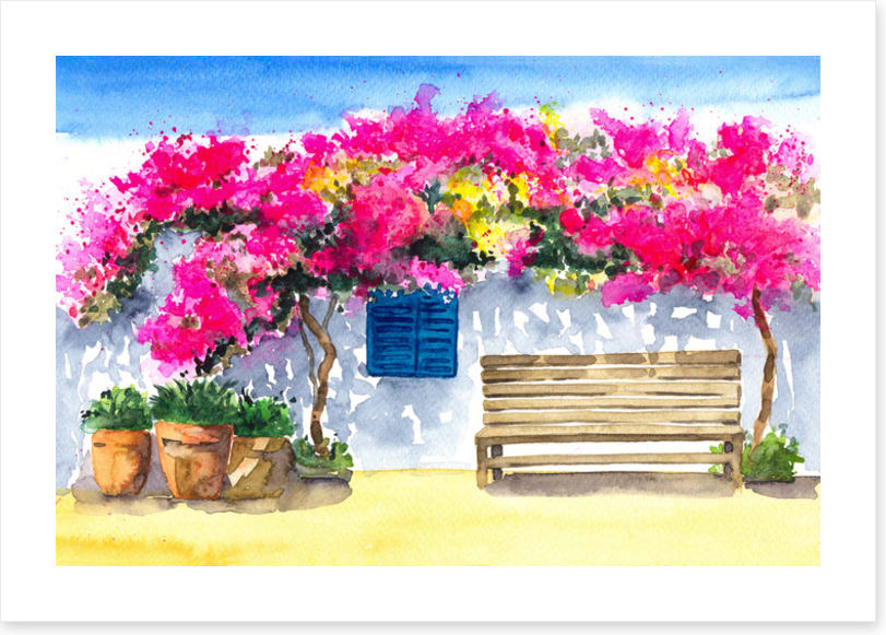 The bougainvillea bench