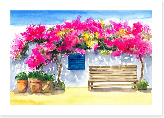 The bougainvillea bench