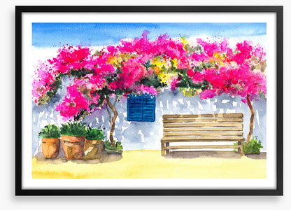 The bougainvillea bench