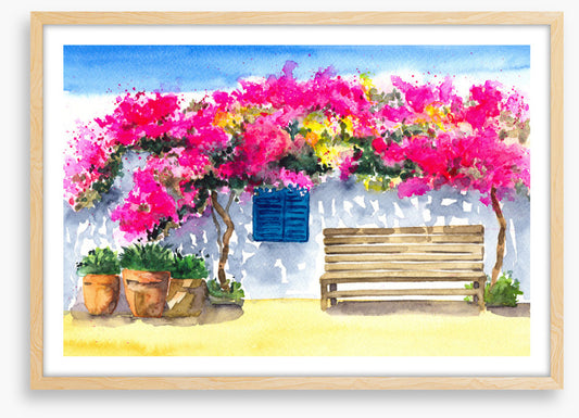 The bougainvillea bench