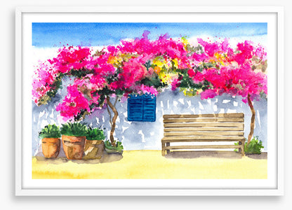 The bougainvillea bench