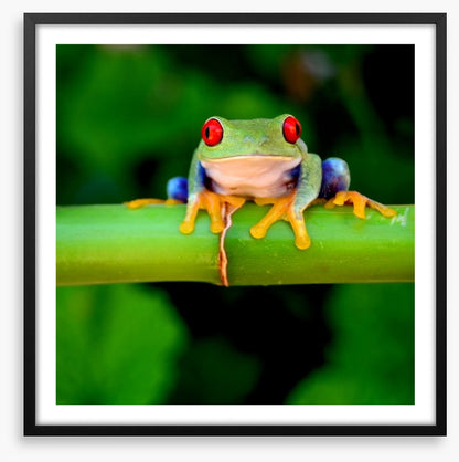 Red eye
