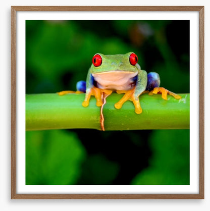 Red eye
