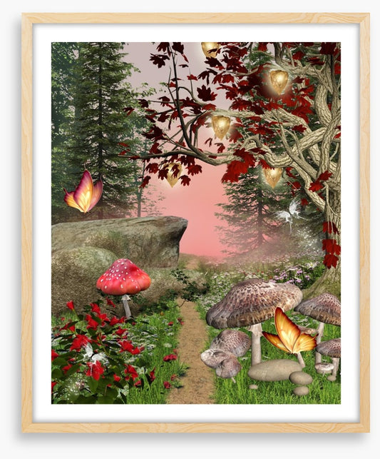 The enchanted forest