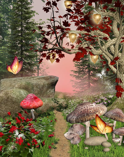 The enchanted forest