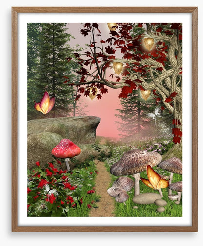 The enchanted forest