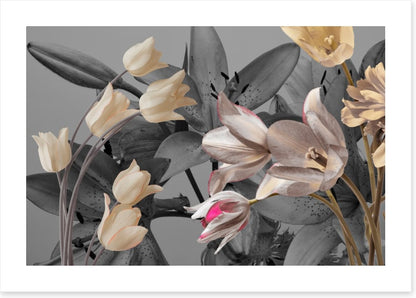Tulip trends
