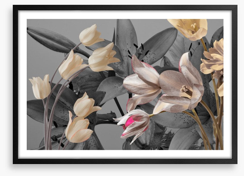 Tulip trends