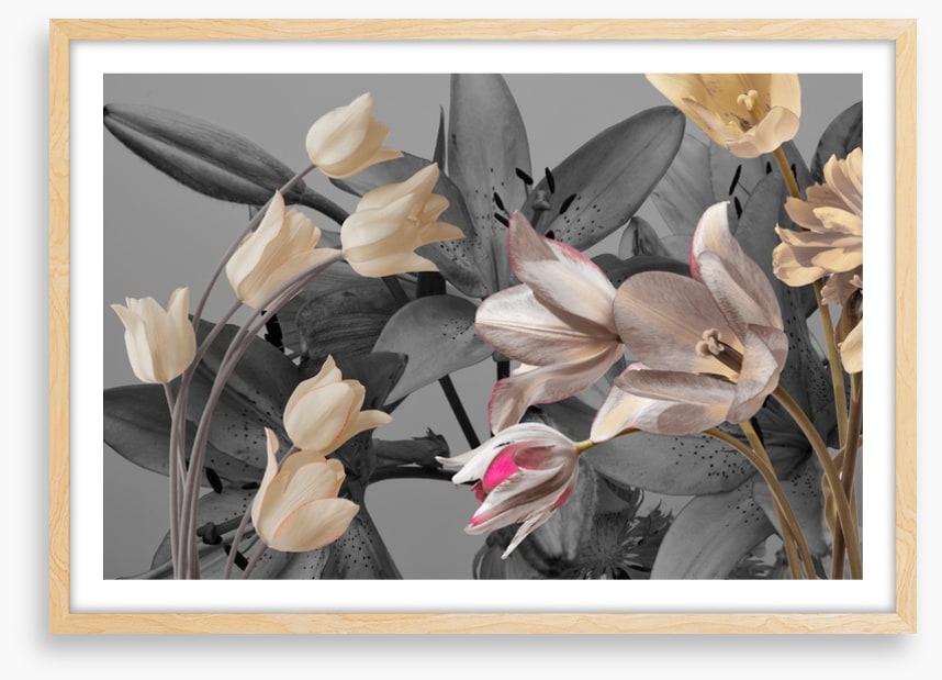 Tulip trends