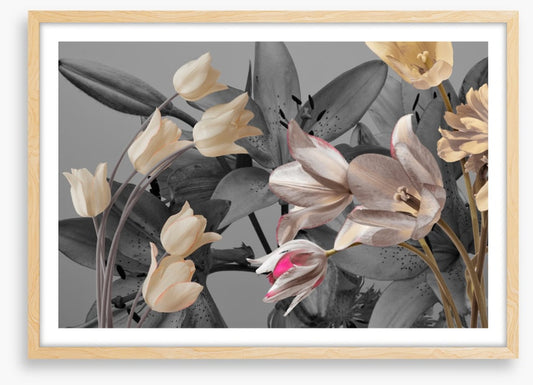 Tulip trends