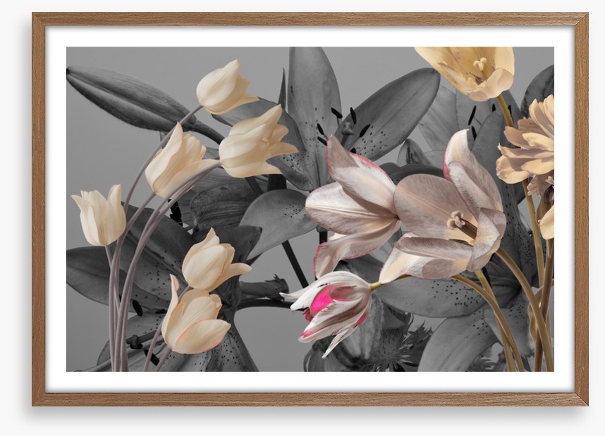 Tulip trends