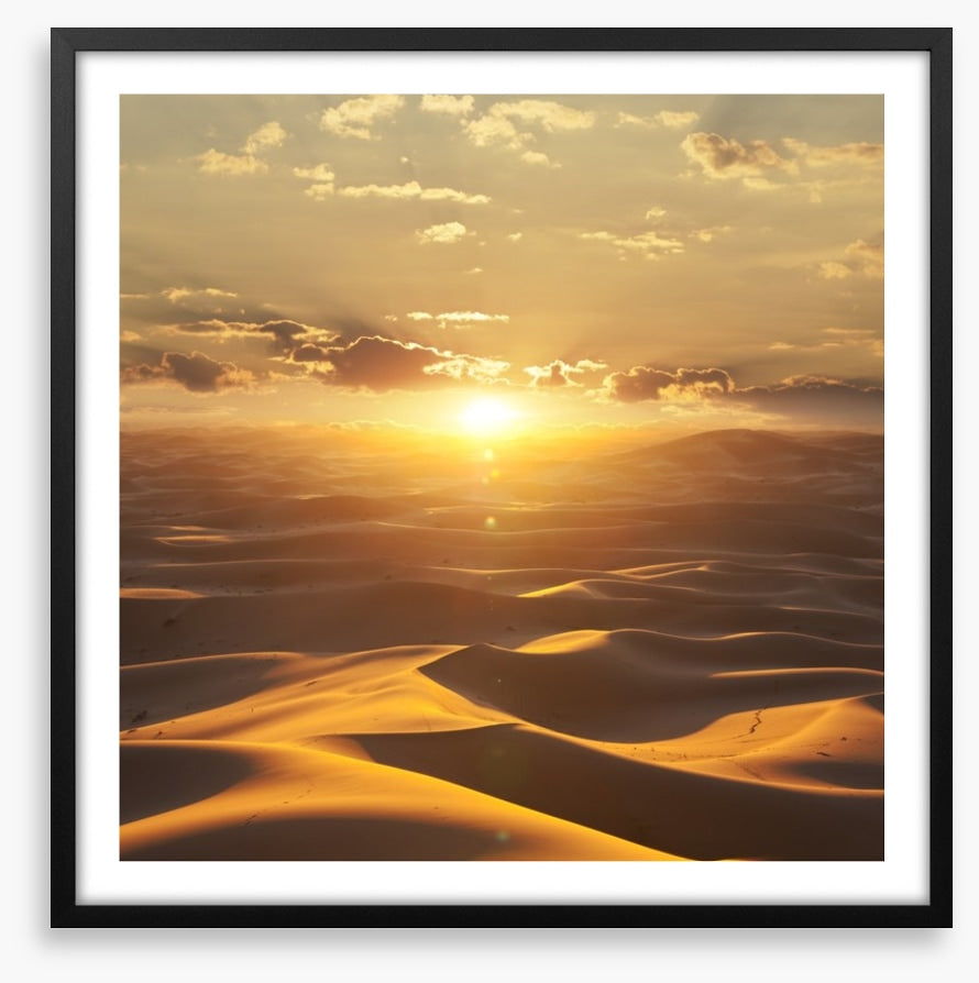 Desert