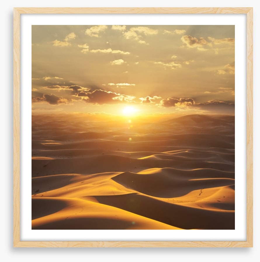 Desert