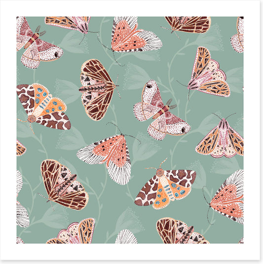 Butterflies