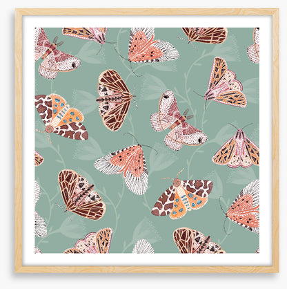 Butterflies