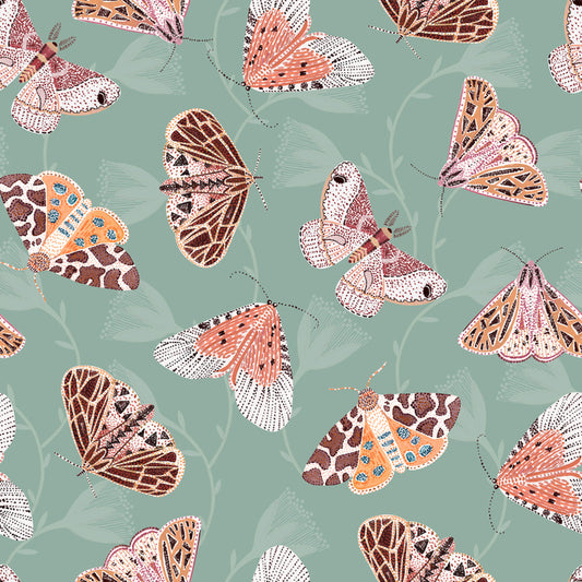 Butterflies