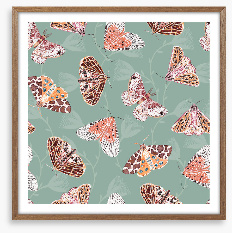 Butterflies