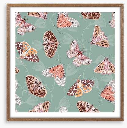 Butterflies
