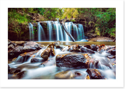 Timber falls