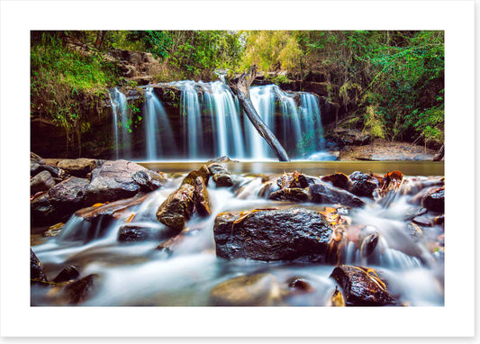 Timber falls